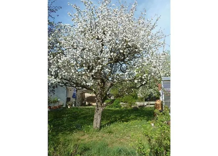 Vakantiehuis Moni's Haldenwang